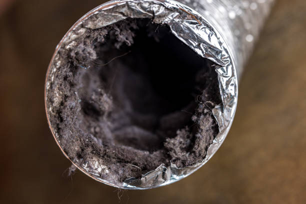 Best Best Air Duct Cleaning Company  in Dahlone, GA