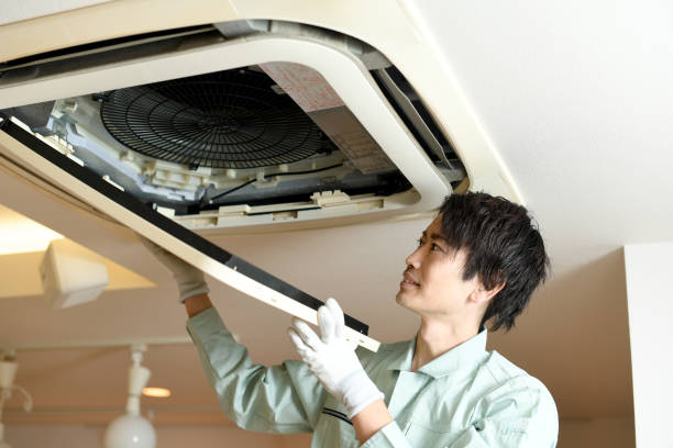Best HVAC Duct Inspection Services  in Dahlone, GA